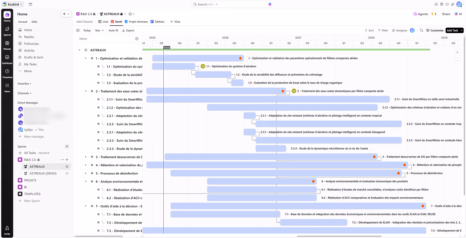 Ecobird workspace after ClickUp implementation